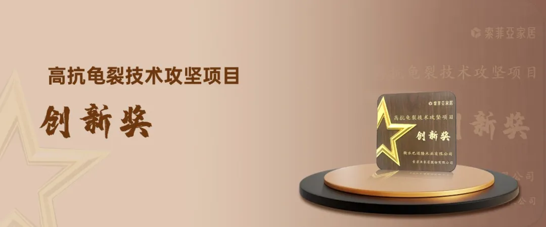共筑品质・载誉前行｜巴迈隆荣获索菲亚技术攻坚项目创新奖